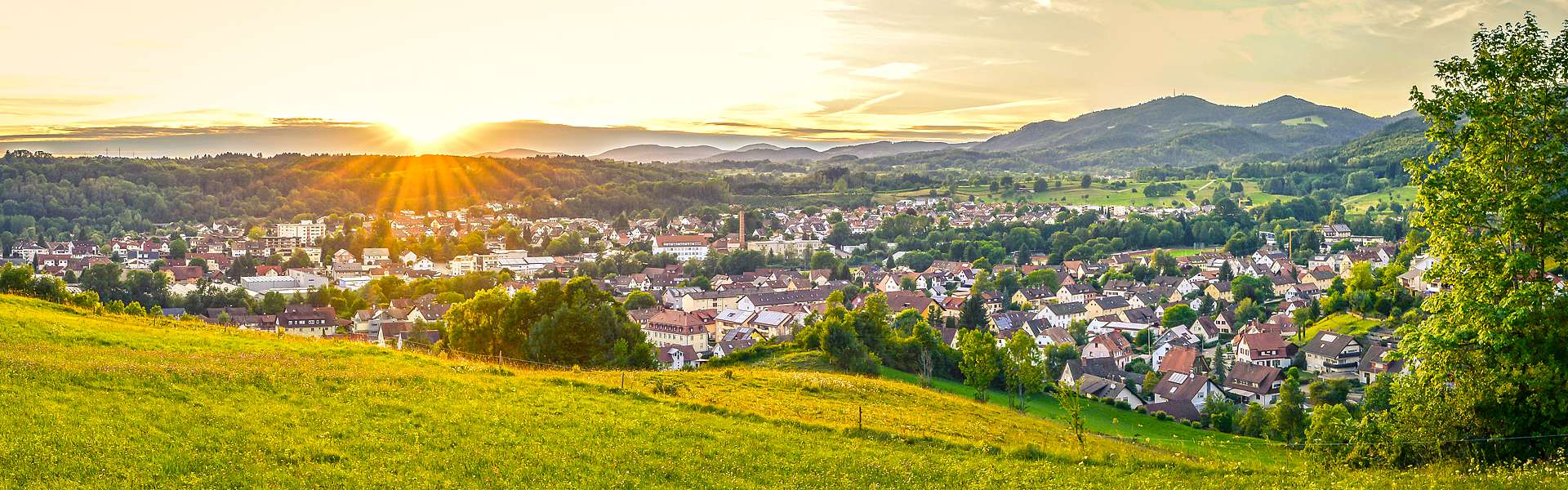 Immobilien Felber / Wehr - Baden